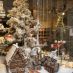 Vienna Hotels - vienna (11)