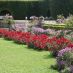 Alberghi a Baden-Baden - rosengarten - rosegarten (2)