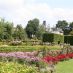 Alberghi a Baden-Baden - rosengarten - rosegarten (3)