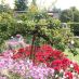 Alberghi a Baden-Baden - rosengarten - rosegarten (4)