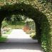 Alberghi a Baden-Baden - rosengarten - rosegarten (8)