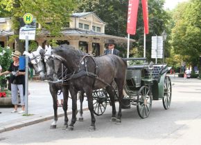 Alberghi a Baden-Baden - baden-baden (2)