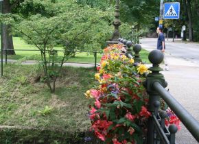 Alberghi a Baden-Baden - baden-baden (28)