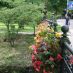 Hoteles en Baden-Baden - baden-baden (28)