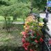 Alberghi a Baden-Baden - baden-baden (28)