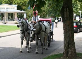 Alberghi a Baden-Baden - baden-baden (32)
