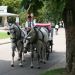 Alberghi a Baden-Baden - baden-baden (32)