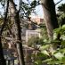 Hotel a Roma - foro romano - rome-foro-romano (30)