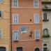 Hoteluri Roma - navona - PAPA