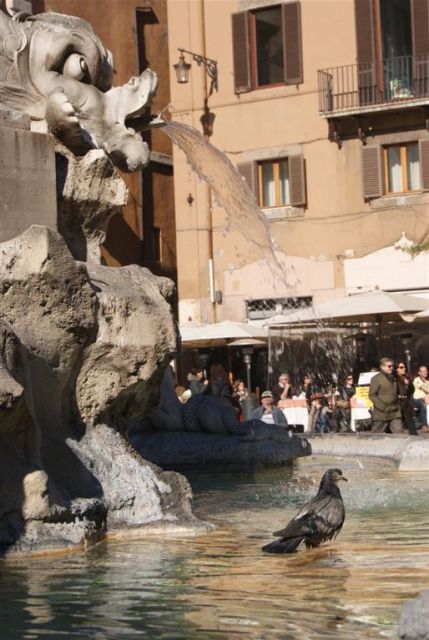 Piazza della Rotonda