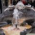 Rome Hotels - spanish steps - IMG 1416