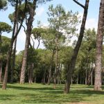 Villa Borghese