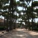 Alberghi a Roma - villa borghese - 25 giugno 2009 238 (Large)