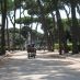 Rome Hotels - villa borghese - 25 giugno 2009 239 (Large)