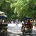 Rome Hotels - villa borghese - 25 giugno 2009 241 (Large)