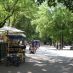Rome Hotels - villa borghese - 25 giugno 2009 242 (Large)