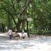 Alberghi a Roma - villa borghese - 25 giugno 2009 249 (Large)