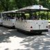 Rome Hotels - villa borghese - 25 giugno 2009 251 (Large)