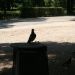 Alberghi a Roma - villa borghese - 25 giugno 2009 253 (Large)