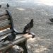 Alberghi a Roma - villa borghese - 25 giugno 2009 254 (Large)