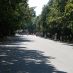 Rome Hotels - villa borghese - 25 giugno 2009 262 (Large)
