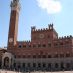 Alberghi a Siena - palazzo pubblico - 15 ago 063 (Large)
