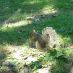 โรงแรมต่างๆของNew York - central park - DSCN5664
