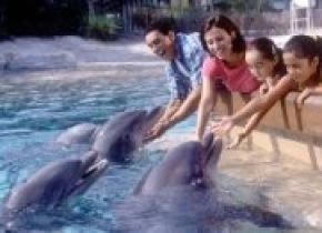 Отели Орландо - SeaWorld_Orlando1