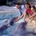 Hoteles en Orlando - SeaWorld_Orlando1