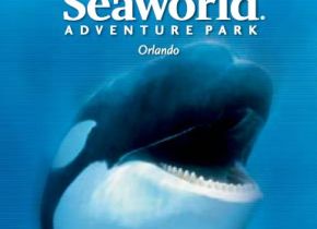 Отели Орландо - orlando-seaworld